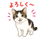 848761855