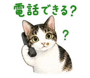 848761858