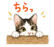 848761861