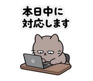 848764155