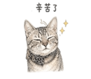 848780440