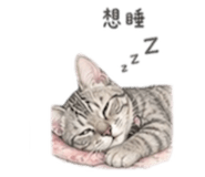 848780453