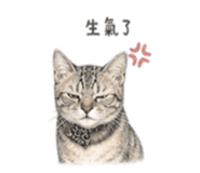 848780460