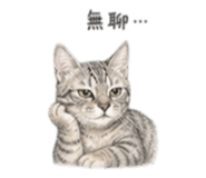 848780463