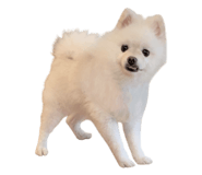 848786859