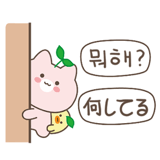 848788002