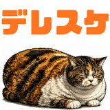 848789955