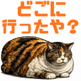 848789962