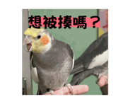 848790860