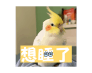 848790865