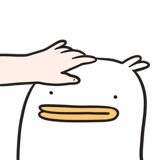 848791711