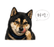 848795243