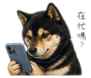 848795248