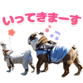 848800029
