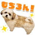 848800043