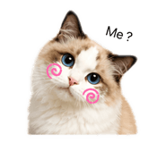 848801501