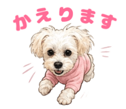 848803099
