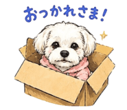 848803149