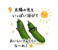 848812217