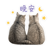 848829015