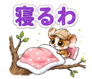 848832432