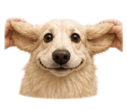 848850890