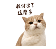 848851489