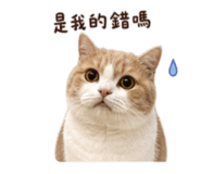 848851491