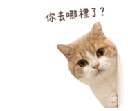 848851492