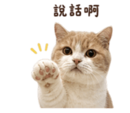 848851496