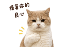 848851497