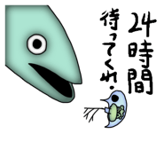 848853905