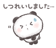 848855034