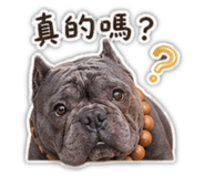 848868104