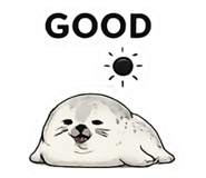 848874255