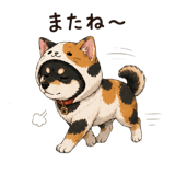 848877935