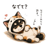 848877955