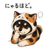848877966