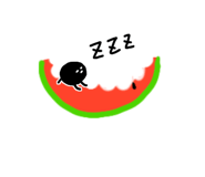 848879777