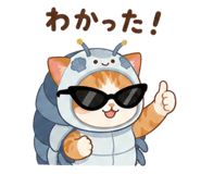 848883800