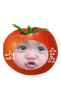 848901311