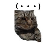 848911506