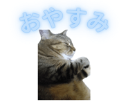 848911507