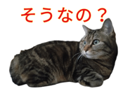 848911512