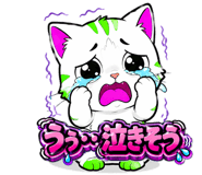 848914356