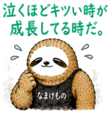 848920643