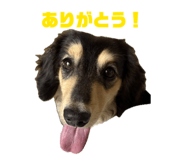 848929025