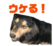 848929040