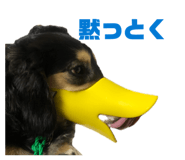 848929046