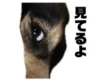 848929049